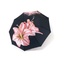 Парасолька автомат Susino 3094 Max comfort жіноча на 9 спиць принтом Квіти Чорно-теракотовий